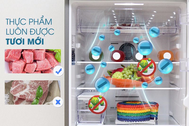 Tủ lạnh Samsung 2 ngăn lạnh độc lập - Kháng khuẩn khử mùi vượt trội