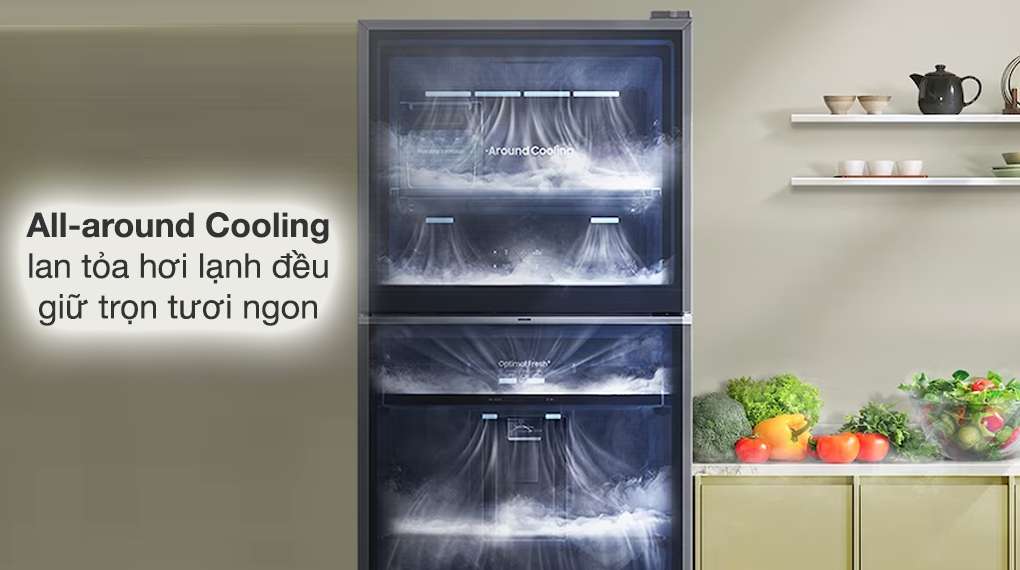 Tủ lạnh Samsung RT42CG6584B1SV