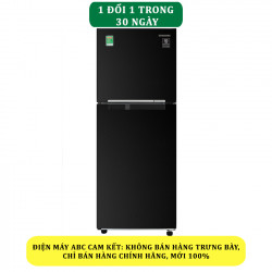 Tủ lạnh Samsung Inverter 208 lít RT20HAR8DBU/SV - Chính Hãng