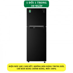 Tủ lạnh Samsung Inverter 236 lít RT22M4032BU/SV - Chính Hãng