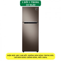 Tủ lạnh Samsung Inverter 236 lít RT22M4040DX/SV - Chính hãng