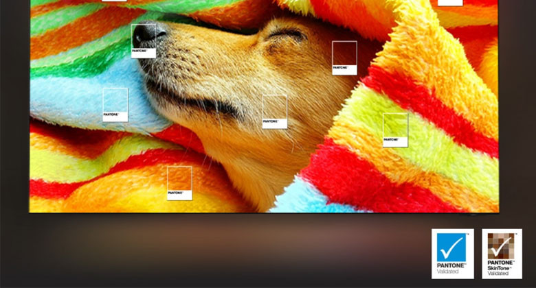 Samsung QLED 65Q8F5 - Màu sắc chuẩn PANTONE