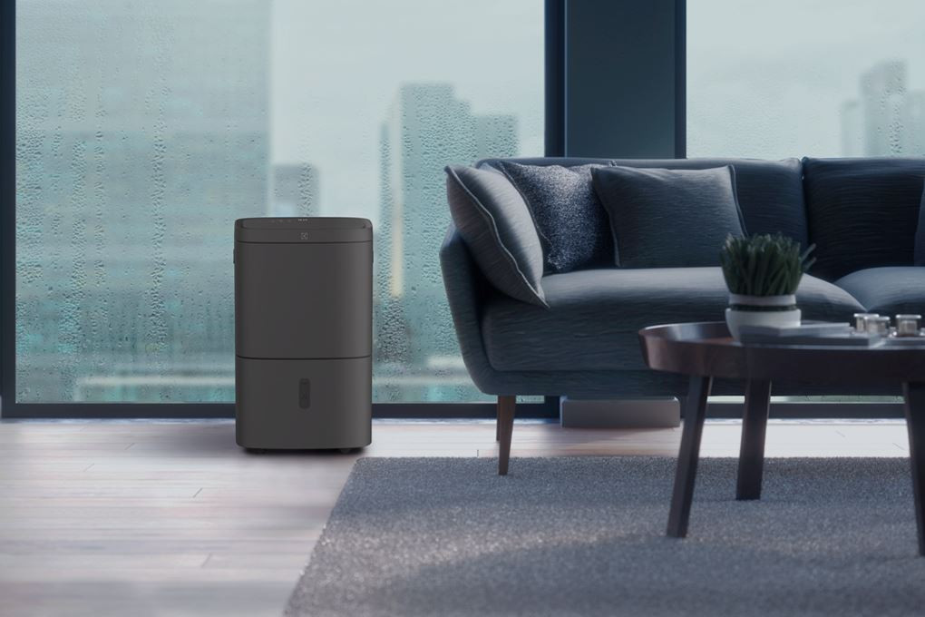 Electrolux EDH16TRBD3 - Thiết kế - Công suất