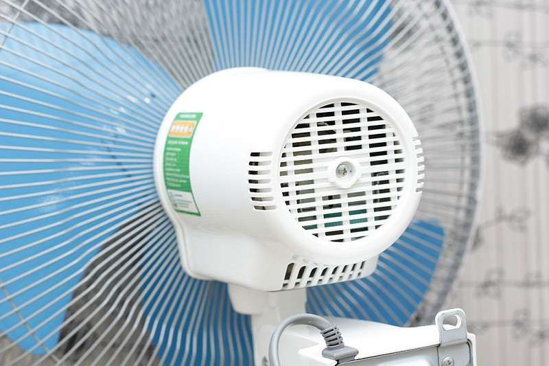 Quạt Panasonic - Quạt dùng động cơ bạc đạn bền bỉ, êm ái không tạo ra tiếng ồn khi sử dụng