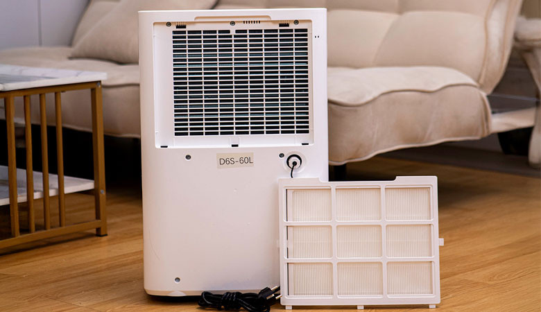 Máy hút ẩm kiêm lọc không khí 60L Lumias D6S-60L