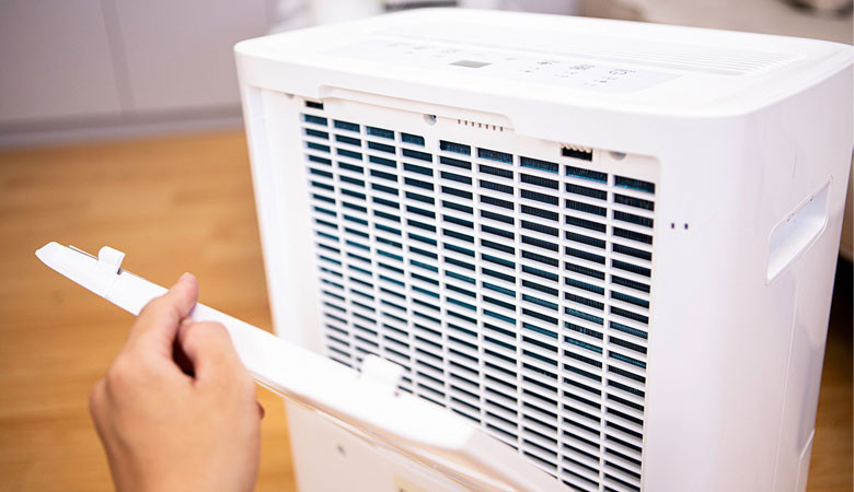 Máy hút ẩm kiêm lọc không khí 60L Lumias D6S-60L