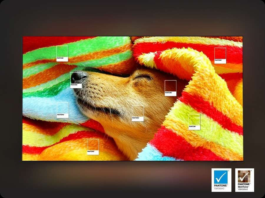 Tivi Samsung 100 inch giá bảo nhiêu - Tận hưởng màu sắc chân thực được chứng nhận bởi PANTONE, chỉ có trên màn hình Samsung