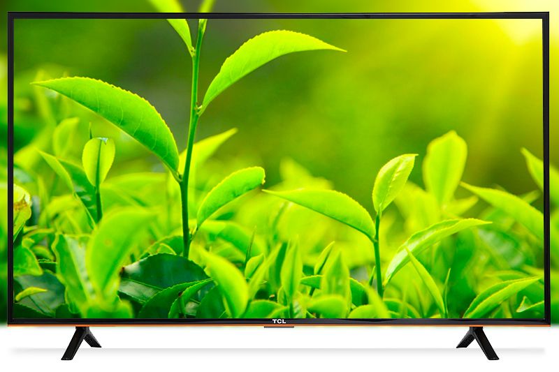 tivi TCL L43S62T