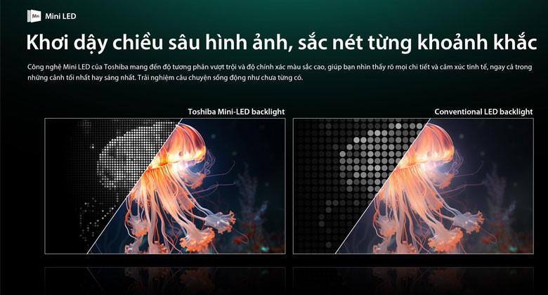 Tivi Toshiba 65Z670RP - Khơi dậy chiều sâu hình ảnh, sắc nét từng khoảnh khắc