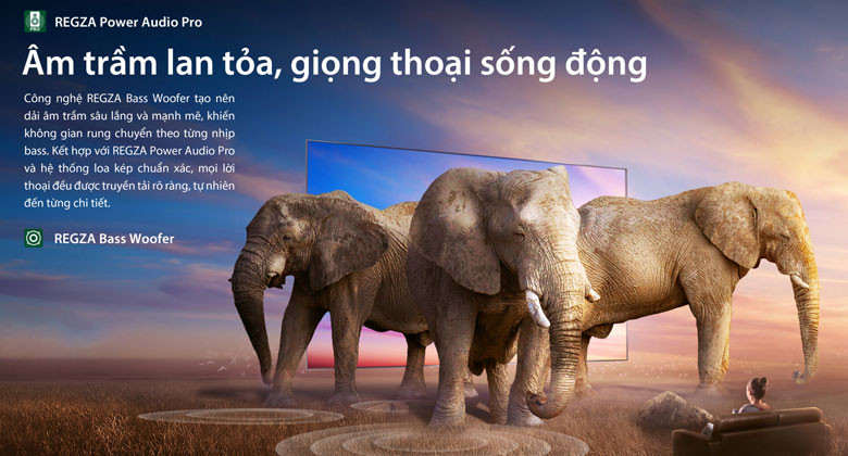 TV Toshiba 65 inch - Âm trầm lan tỏa, giọng thoại sống động