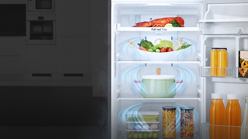 Tủ lạnh LG GN-L255PN