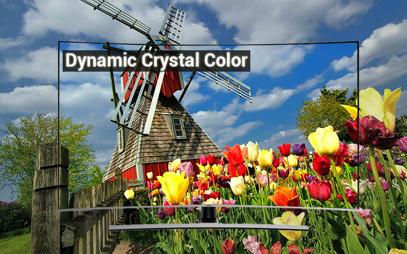 Công nghệ hình ảnh Dynamic Crystal Color Smart Tivi Cong Samsung 55 inch UA55NU8500