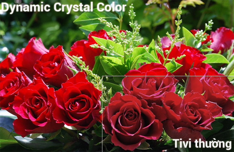 Công nghệ Dynamic Crystal Color trênSmart Tivi Samsung 4K 43 inch UA43NU7400