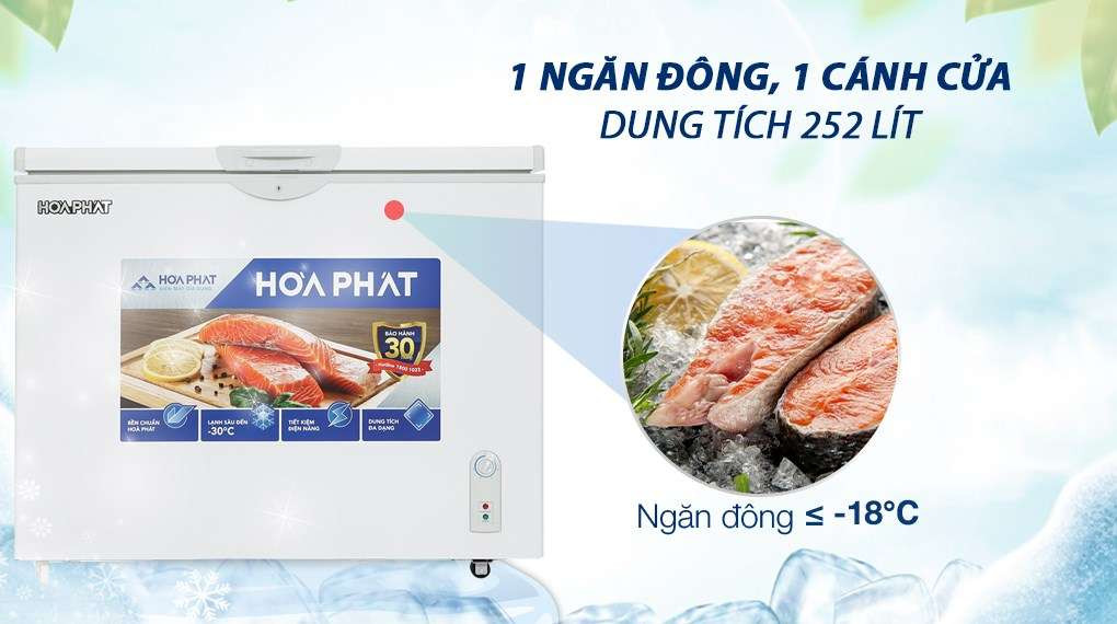 Tủ đông Hòa Phát HPF AD6252