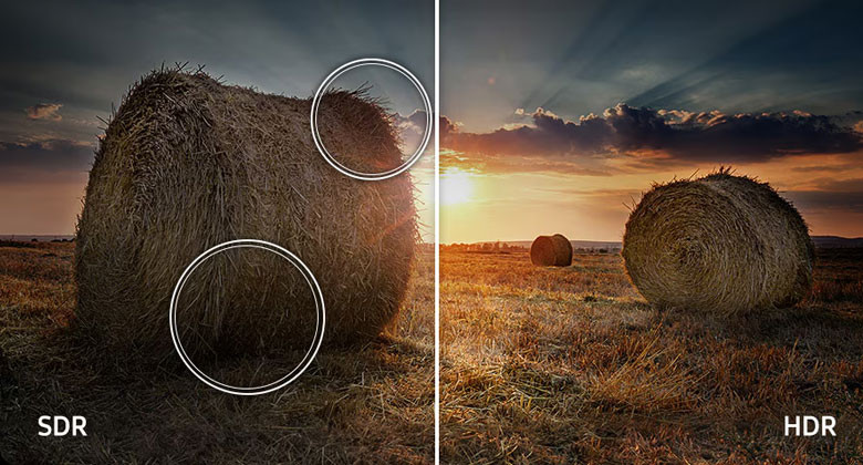 Smart Tivi QLED Samsung 4K 55 inch QA55Q6FA - Công nghệ Quantum HDR