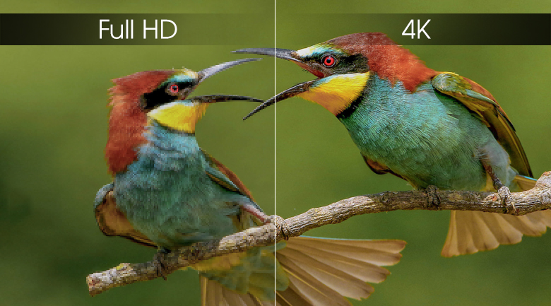  Android Tivi Sony 4K 43 inch KD-43X8000G - 4K