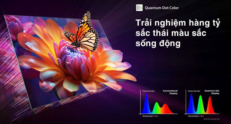Tivi Toshiba 55 inch QLED - Quantum Dot Color cung cấp dải màu rộng để bạn chiêm ngưỡng hàng tỷ sắc màu sống động