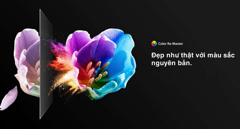 Giá tivi Toshiba 55 inch - Công nghệ Color Re-Master hỗ trợ tái hiện chính xác màu sắc của từng vật thể