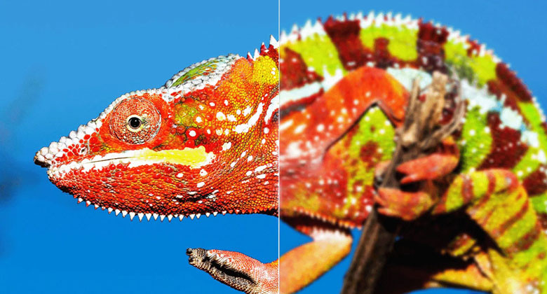 Tivi TCL P7K - Ai Clarity