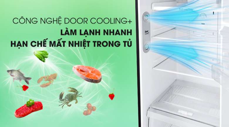 Tủ lạnh LG Inverter 315 lít GN-D315BL Mẫu 2019 - Làm lạnh nhanh và đều với công nghệ DoorCooling+ làm lạnh từ cánh cửa