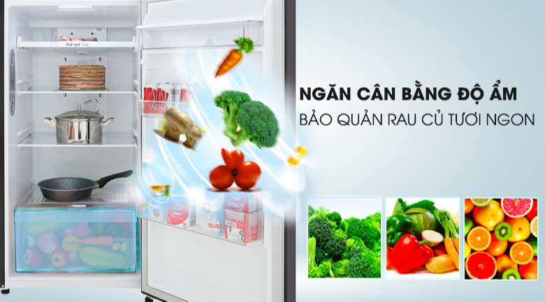 Tủ lạnh LG Inverter 315 lít GN-D315BL Mẫu 2019 - Bảo quản rau củ tươi ngon trong thời gian dài với ngăn cân bằng độ ẩm