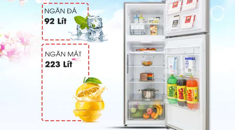 Tủ lạnh LG Inverter 315 lít GN-D315S - Dung tích