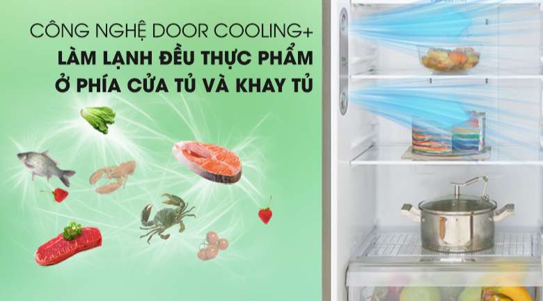 DoorCooling+ - Tủ lạnh LG Inverter 315 lít GN-D315S