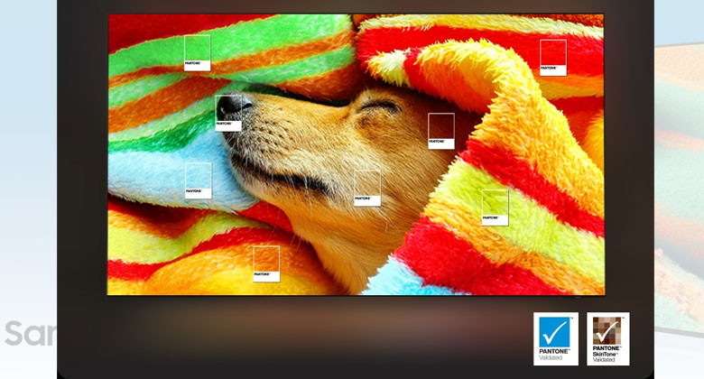 Tivi NEO QLED Samsung 65 inch - Màu sắc chuẩn PANTONE