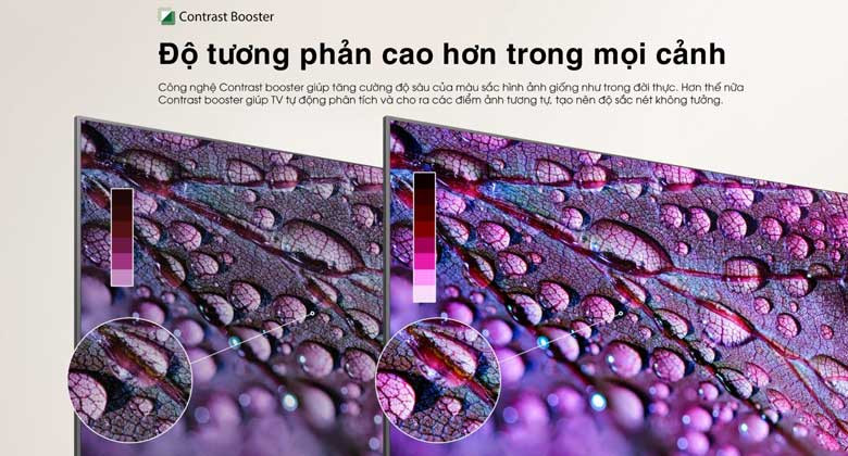43E31MP - Độ tương phản cao hơn trong mọi cảnh