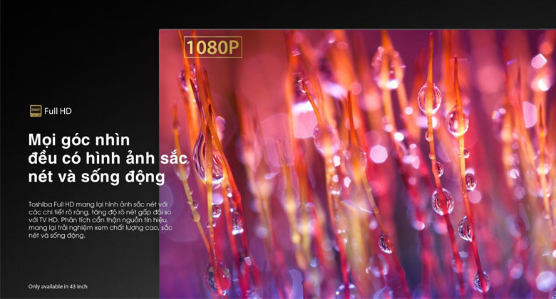 Tivi Toshiba 43 inch E31MP - Mọi góc nhìn đều có hình ảnh sắc nét và sống động