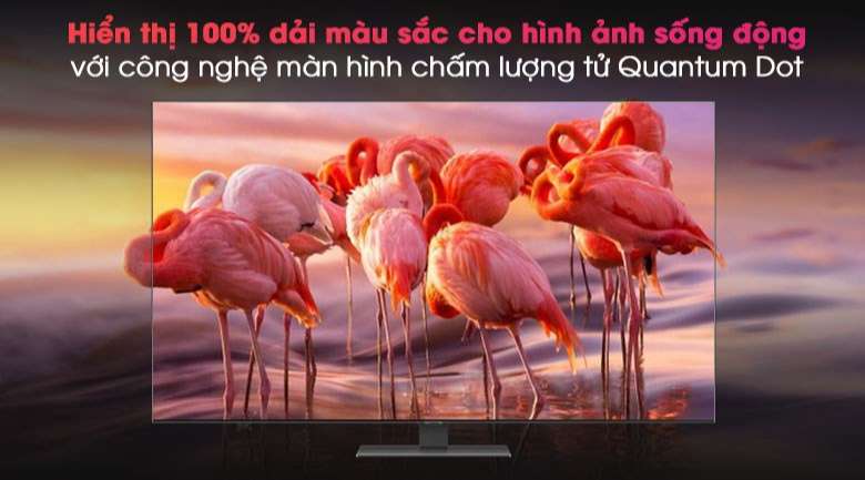 Smart Tivi QLED 4K 50 inch Samsung QA50Q80A - QLED