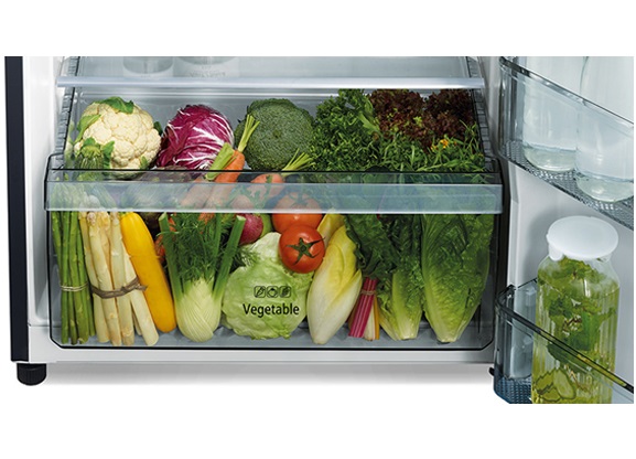 Tủ lạnh Hitachi 2 cánh - Ngăn rau quả, bảo quản tốt hơn