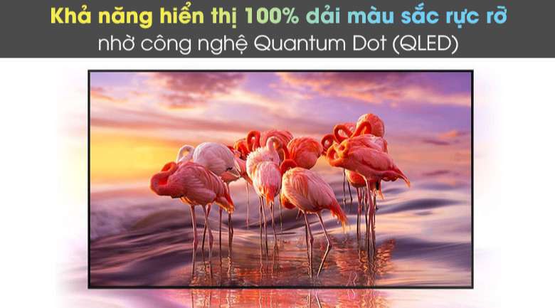 Quantum Dot - Smart Tivi Neo QLED 4K 50 inch Samsung QA50QN90A