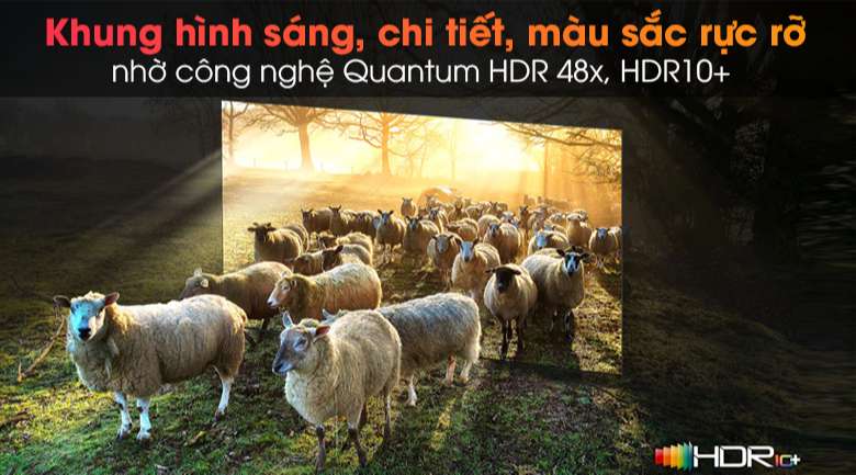 Tivi Neo QLED 8K Samsung QA65QN900A - Tối ưu độ tương phản, độ sáng, màu sắc, độ nét hình ảnh với công nghệ Quantum HDR 48x