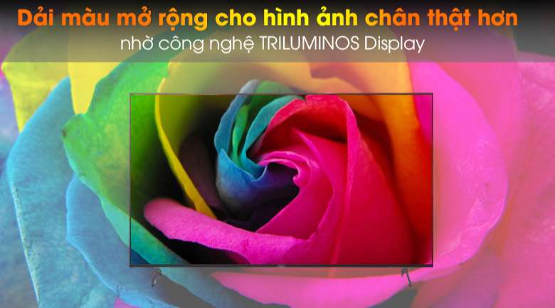 TRILUMINOS Display - Tivi LED Sony KD-65X9000H/S