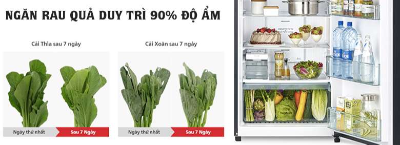 Tủ lạnh Hitachi Inverter 390 lít R-FVY510PGV0(GMG) ngăn rau quả giữ ẩm