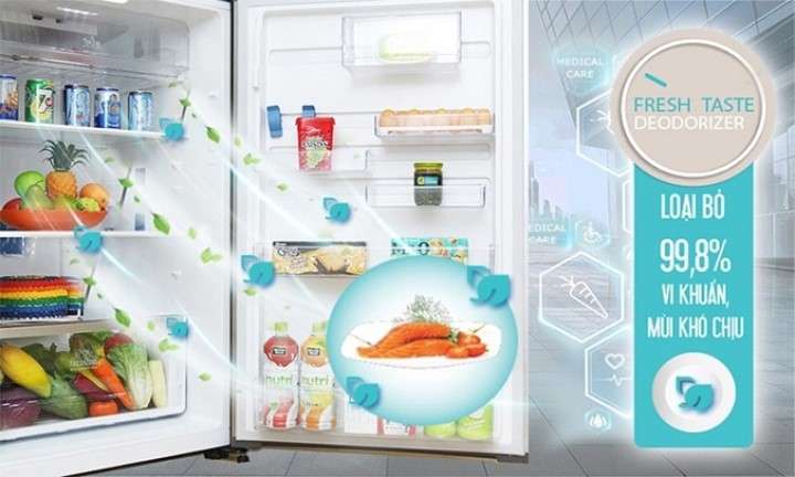 Tủ lạnh Electrolux Inverter 320 lít ETB3400J-H loại bỏ vi khuẩn