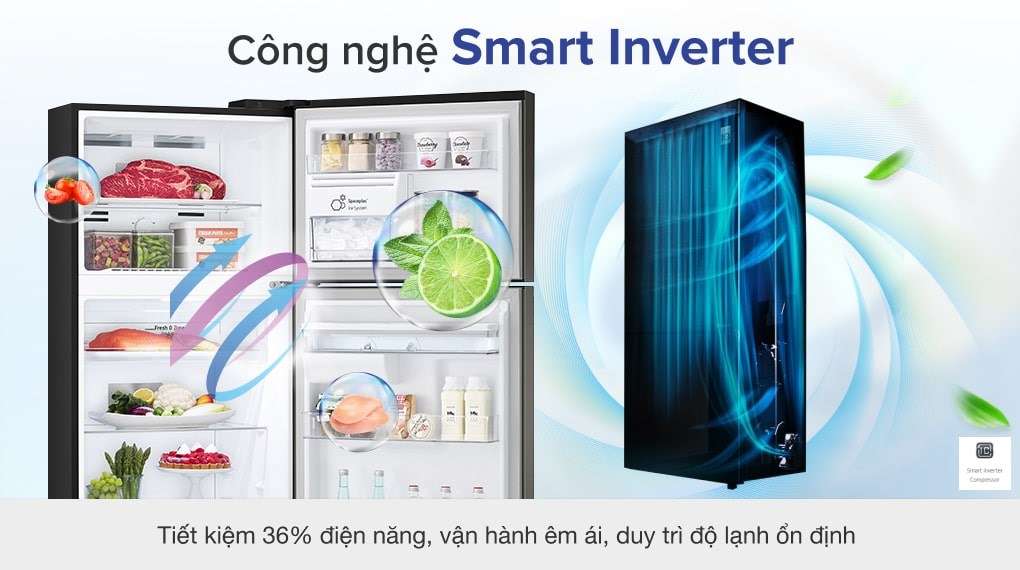 Tủ lạnh LG Inverter 394 lít GN-D392BLA - Smart Inverter