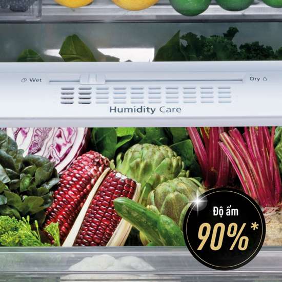 Tủ lạnh Panasonic 255 lít - Độ ẩm thích hợp duy trì độ giòn tươi của rau xanh