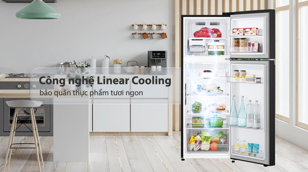 Tủ lạnh LG GV-B242BL