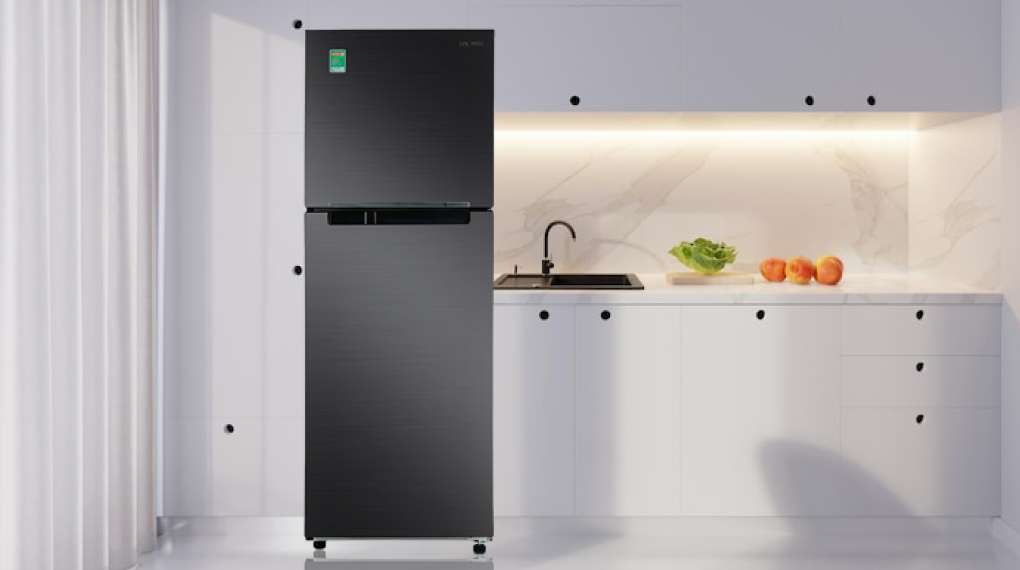Tủ lạnh Samsung RT29K503JB1/SV