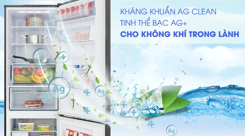 Tủ lạnh Panasonic NR-BC360QKVN