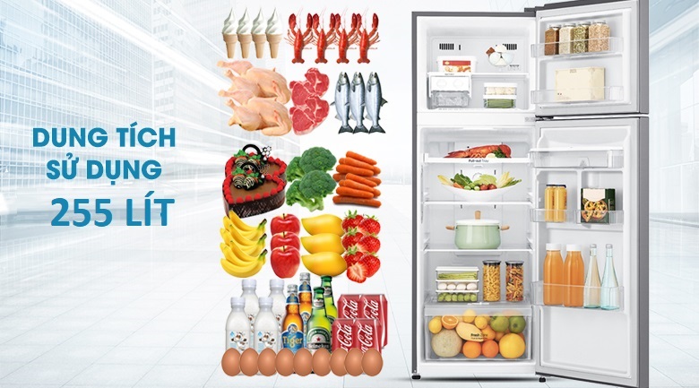 Tủ lạnh LG GN-D255BL