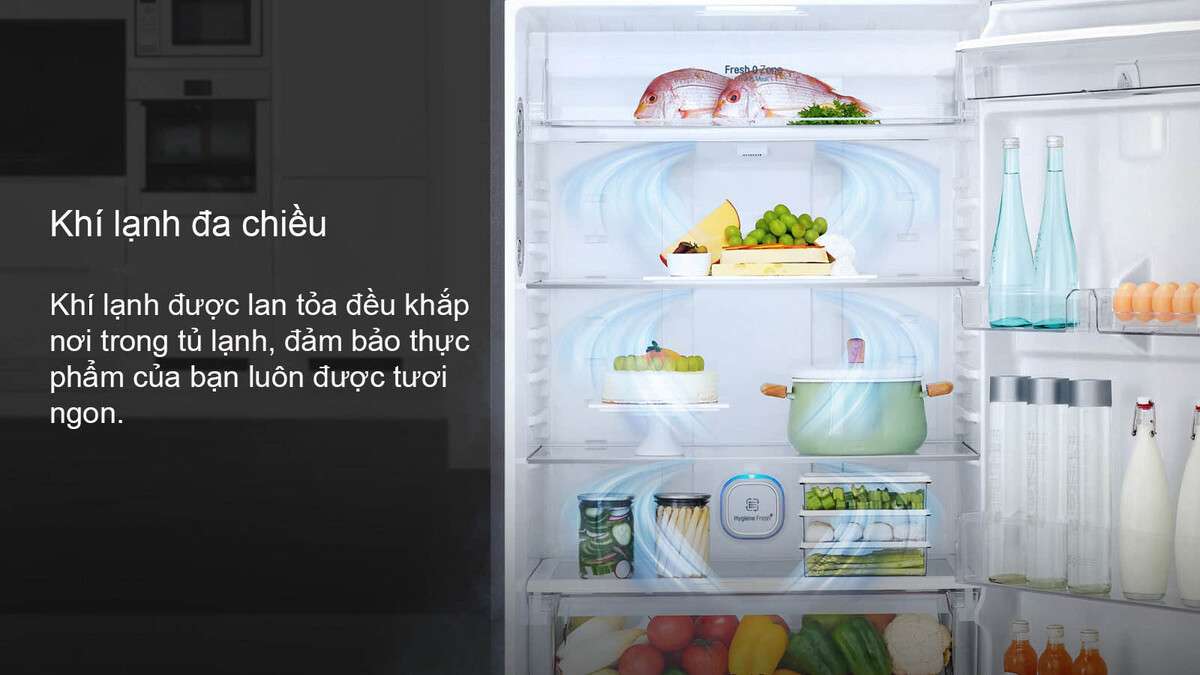Tủ lạnh LG GN-L702GBI