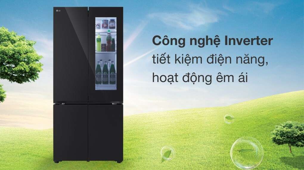 Tủ lạnh LG LFB61BLGAI