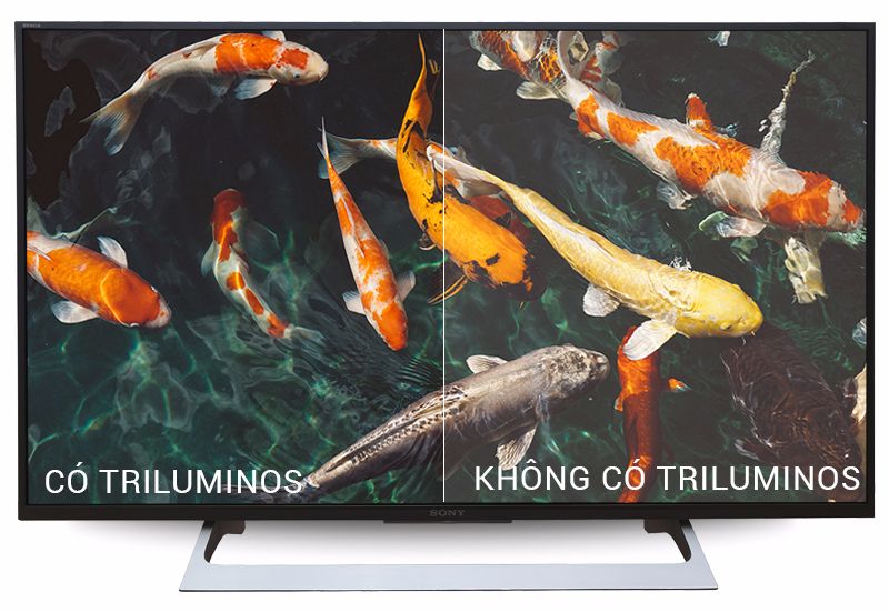 Android Tivi Sony KD-55X9300D