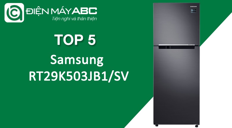 5. Tủ lạnh Samsung RT29K503JB1/SV
