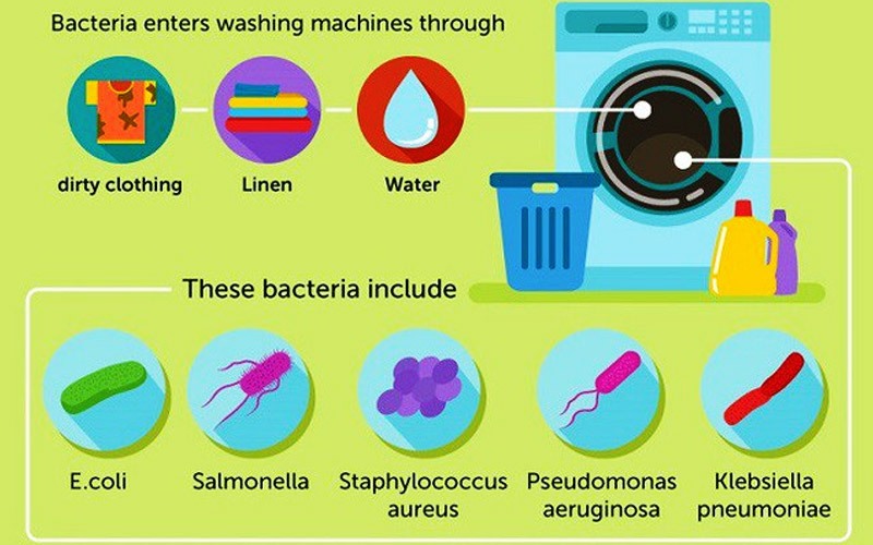 Máy giặt nếu không vệ sinh thường xuyên không những bị giảm tuổi thọ còn gây nhiều căn bệnh