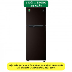 Tủ lạnh Samsung Inverter 236 lít RT22M4032BY/SV - Chính hãng