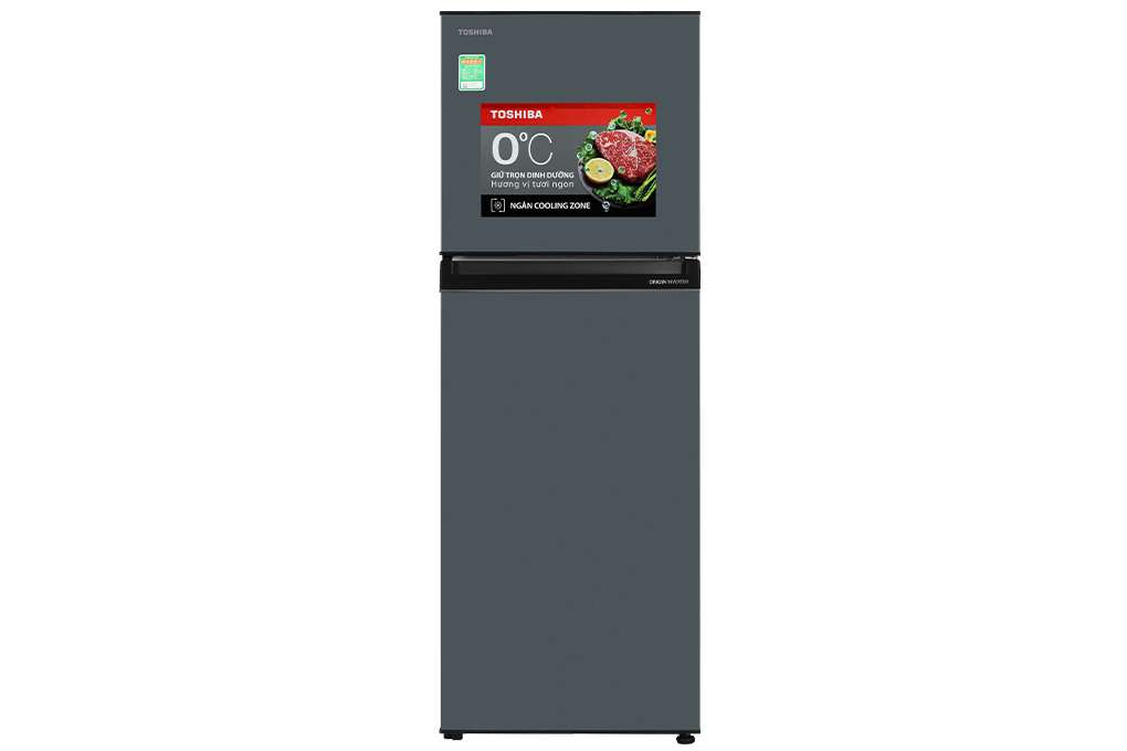 Tủ lạnh Toshiba Inverter 233 lít GR-RT303WE-PMV(52) - Chính hãng
